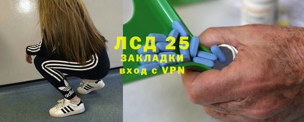 мяу мяу мука Покачи