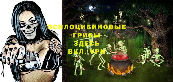 мяу мяу мука Покачи